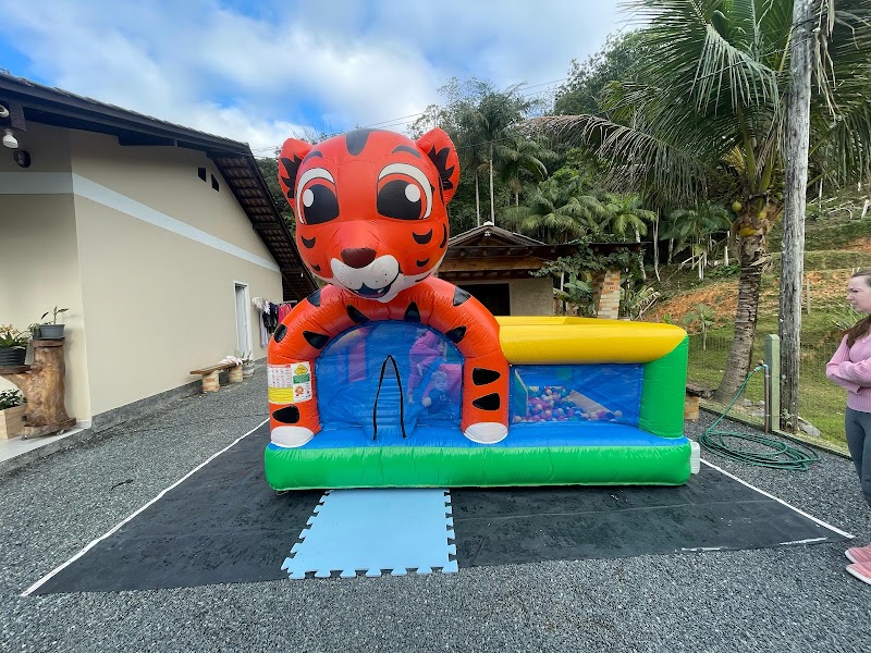 Alegria Ideal | Brinquedos Infláveis