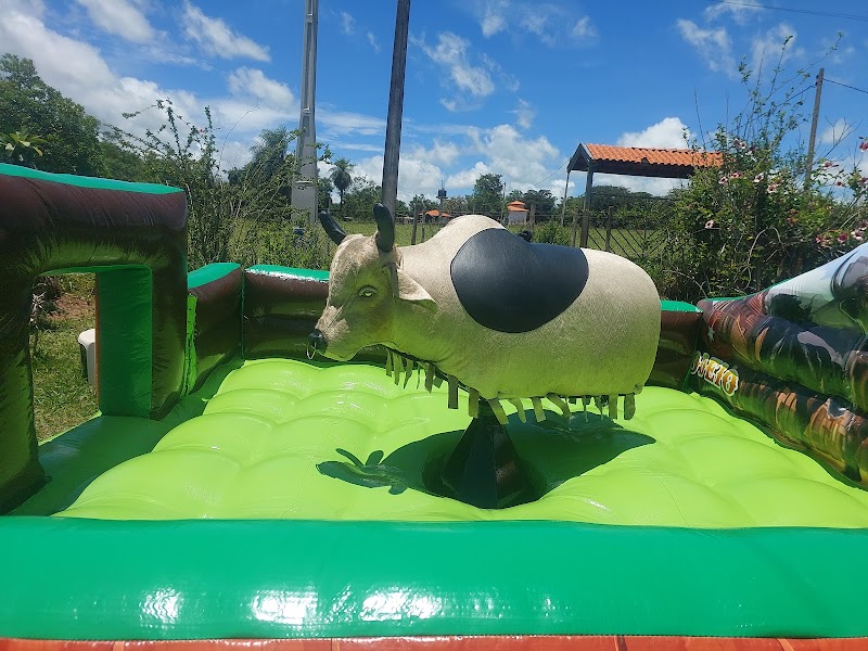 Diversão Garantida locação de brinquedos