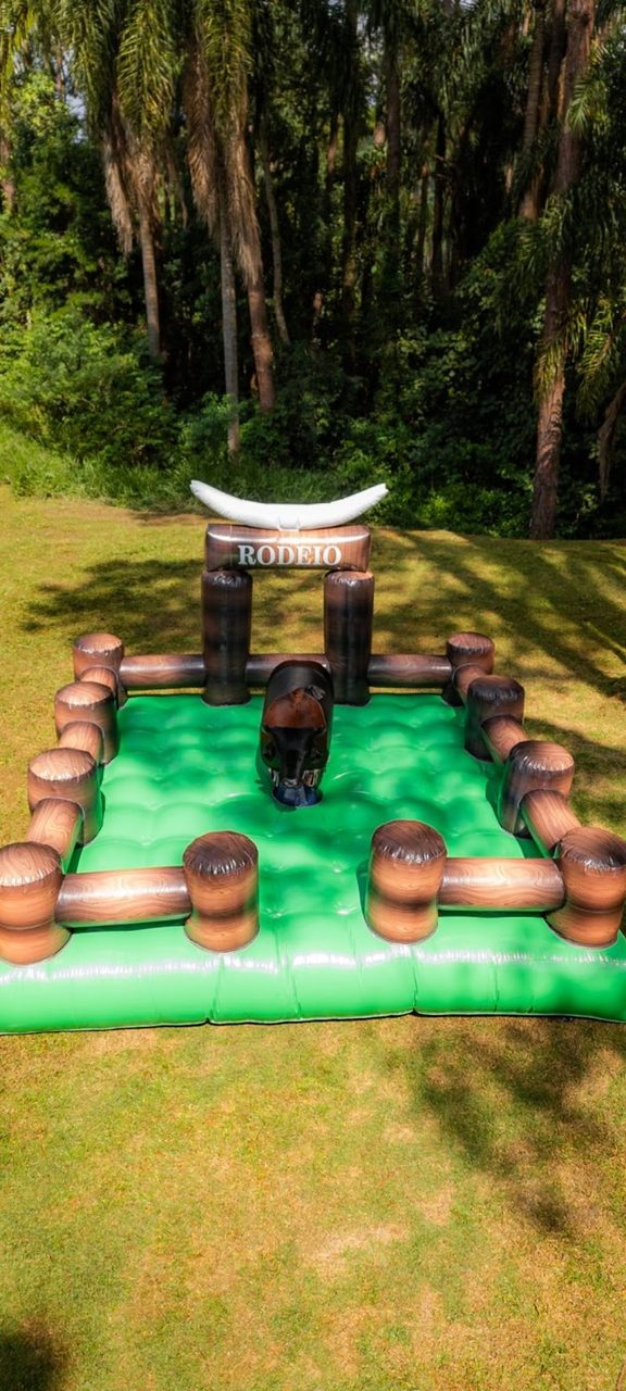 Pega-Pega Brinquedos Infláveis, touro mecânico, tobogã, cama elástica, Piscina de bolinhas, espaço baby e recreação infantil.