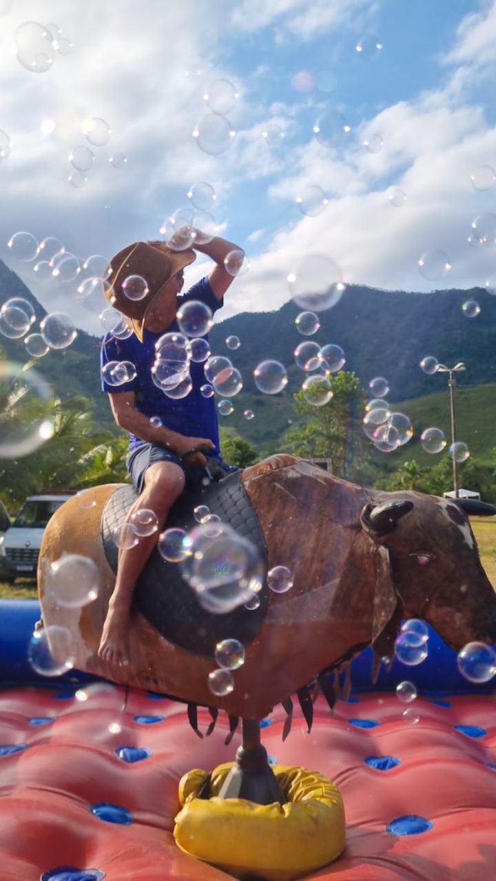 Malu Aluguel Brinquedos Inflaveis|Toro Mecanico, Futebol de Sabão, Tobogã, Torre Escalada, Pula Pula, Fliperama e Tem Mais!!!