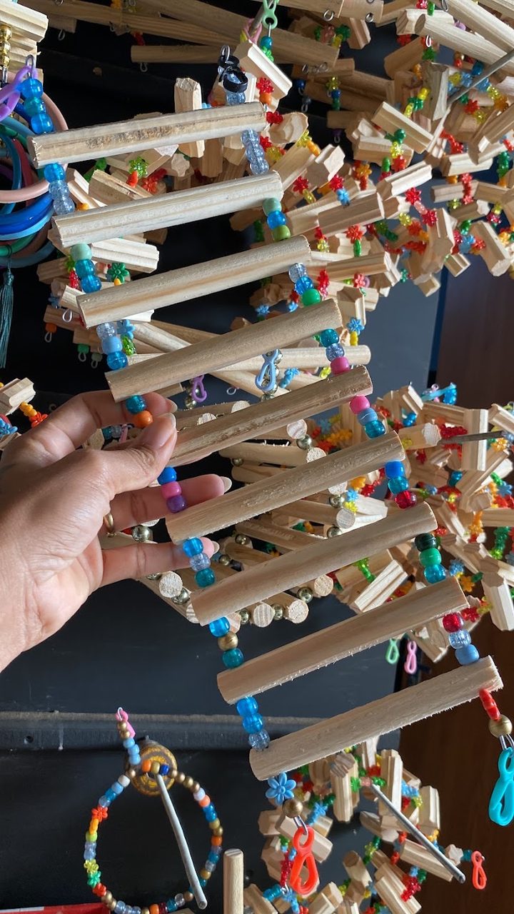 Brinquedos pet
