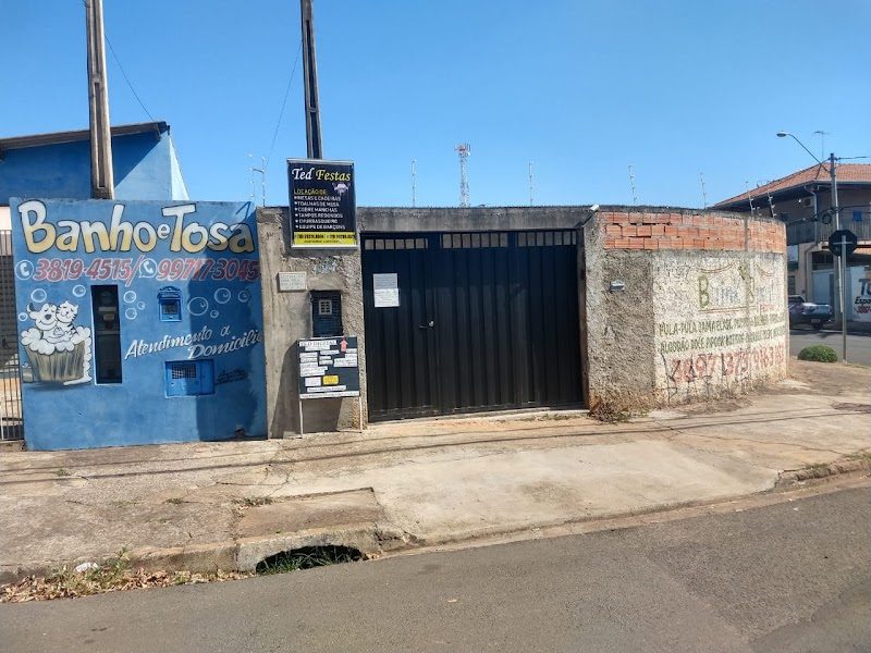 Ted Festas Locações